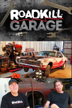 Watch free Roadkill Garage movies online