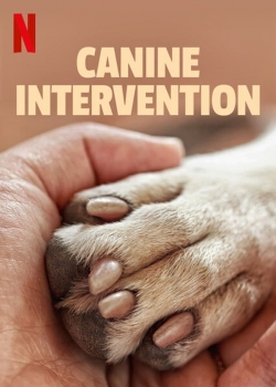 Watch free Canine Intervention movies online