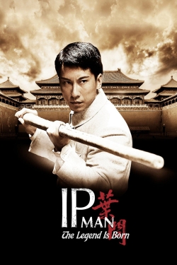 Watch free The Legend Is Born: Ip Man movies online