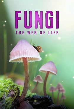 Watch free Fungi: The Web of Life movies online