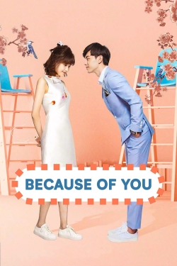 Watch free Because of You movies online