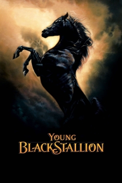 Watch free Young Black Stallion movies online