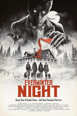 Watch free Everwinter Night movies online