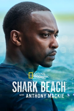 Watch free Shark Beach with Anthony Mackie movies online