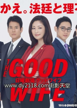 Watch free The Good Wife movies online