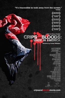 Watch free Crips and Bloods: Made in America movies online