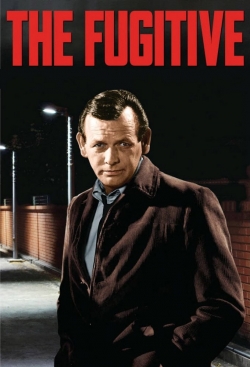 Watch free The Fugitive movies online