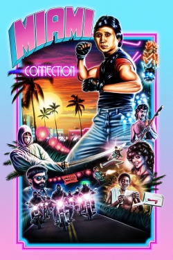 Watch free Miami Connection movies online