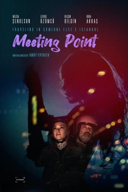 Watch free Meeting Point movies online