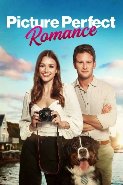 Watch free Picture Perfect Romance movies online