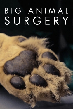 Watch free Big Animal Surgery movies online