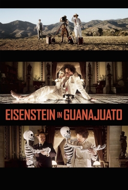 Watch free Eisenstein in Guanajuato movies online