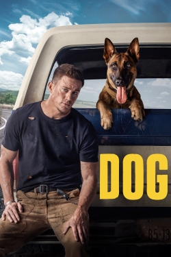 Watch free Dog movies online