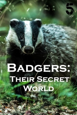 Watch free Badgers: Their Secret World movies online