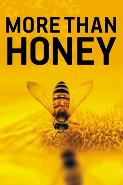 Watch free More Than Honey movies online