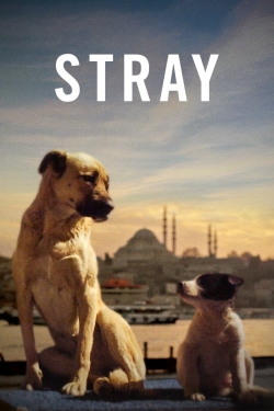 Watch free Stray movies online