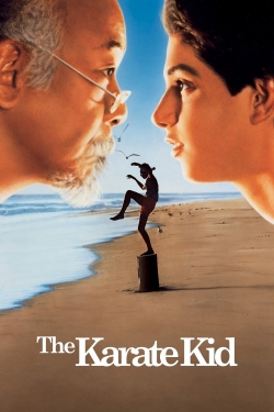 Watch free The Karate Kid movies online