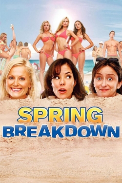 Watch free Spring Breakdown movies online