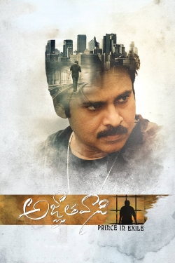 Watch free Agnyaathavaasi movies online